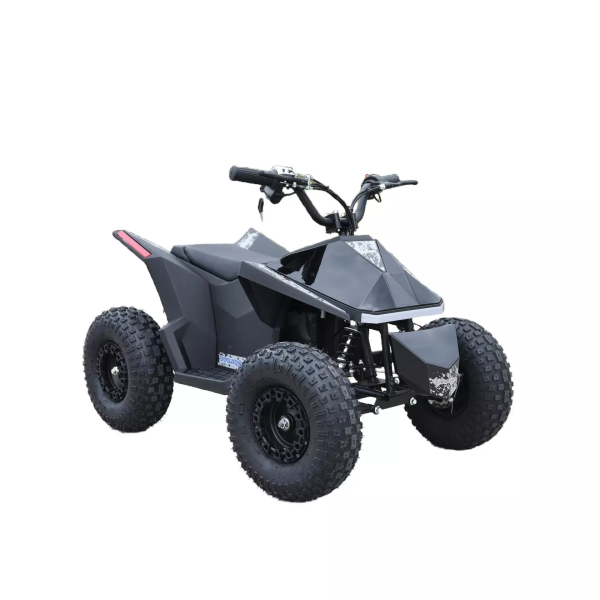 Электроквадроцикл Skyboard CyberTruck Sochi Power 1000W (дифференциальный редуктор) Электроквадроцикл Skyboard CyberTruck Sochi Power 1000W (дифференциальный редуктор)