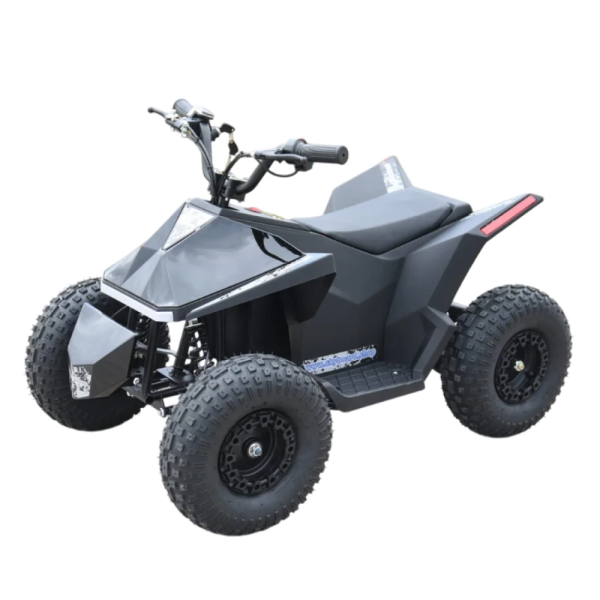 Электроквадроцикл Skyboard CyberTruck Sochi Kids 800W (цепной привод) Электроквадроцикл Skyboard CyberTruck Sochi Kids 800W (цепной привод)