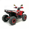 Электроквадроцикл GreenCamel Атакама T610