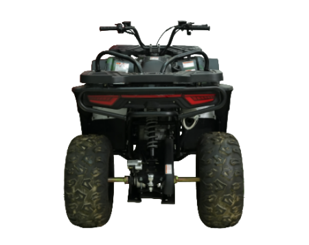Бензиновый квадроцикл MOTAX GRIZLIK W200 зеленый