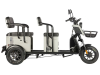 Электротрицикл Wanshida LC300 60V 1000Вт серый