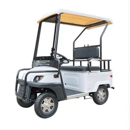 Гольфкар GreenCamel A2 ECO (2 seats 800W R8) пониженная Белый