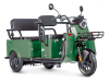 Электротрицикл Wanshida LC-F200 60V 1000Вт зеленый