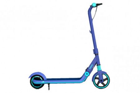 Электросамокат Ninebot eKickScooter Zing E8